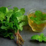 Pudina (Mint) Benefits